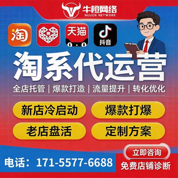 蒙自电商代运营