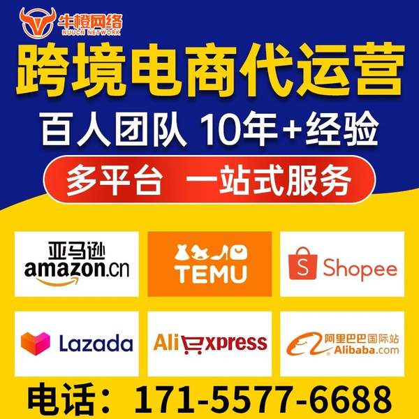 蒙自电商代运营