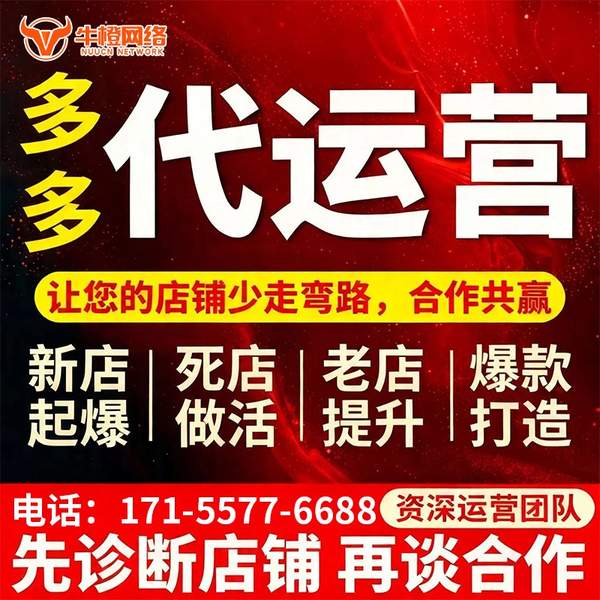 蒙自电商代运营