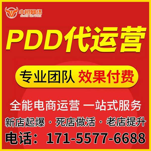 蒙自电商代运营