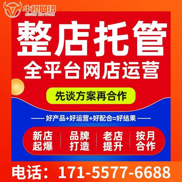 蒙自电商代运营