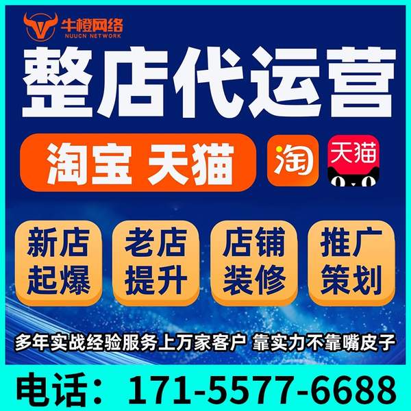 蒙自电商代运营