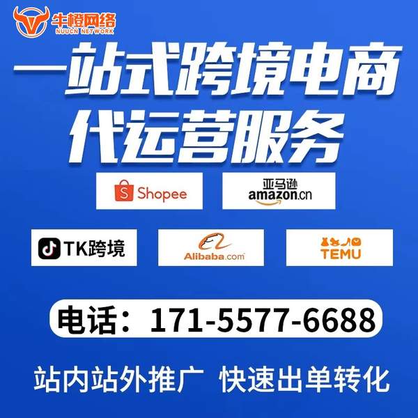 蒙自电商代运营