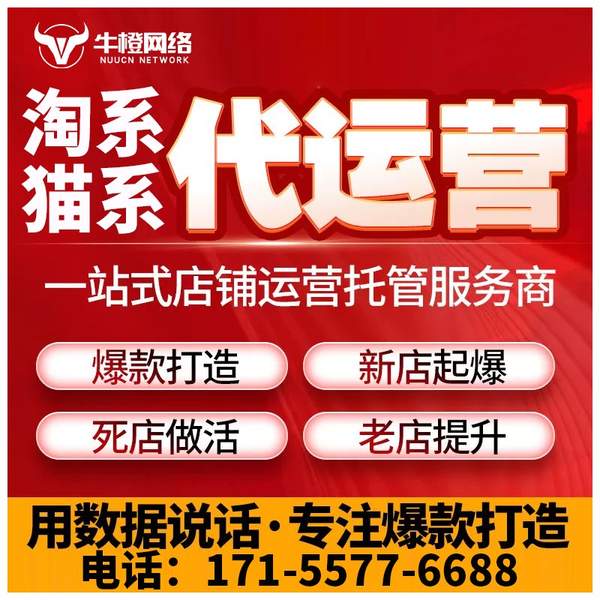 蒙自电商代运营
